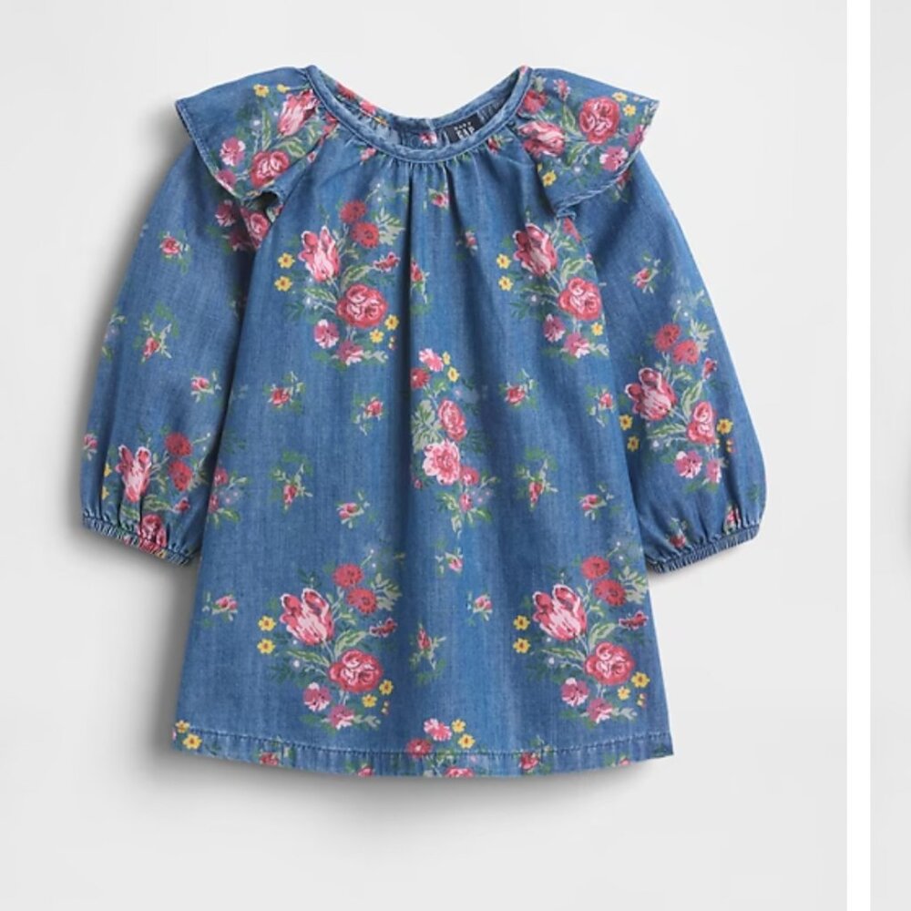 Baby Gap Denim Ruffle Shoulder Dress